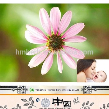 High Specification Echinacea Purpurea Extract 