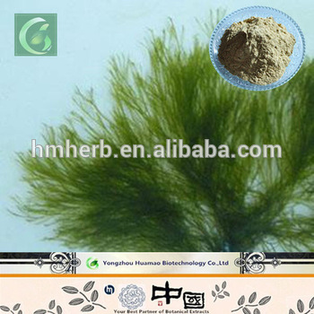 Seaweed Extract